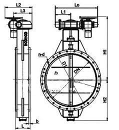D941W-0.5C늄�ͨ�L���m���y���νY���ߴ�D